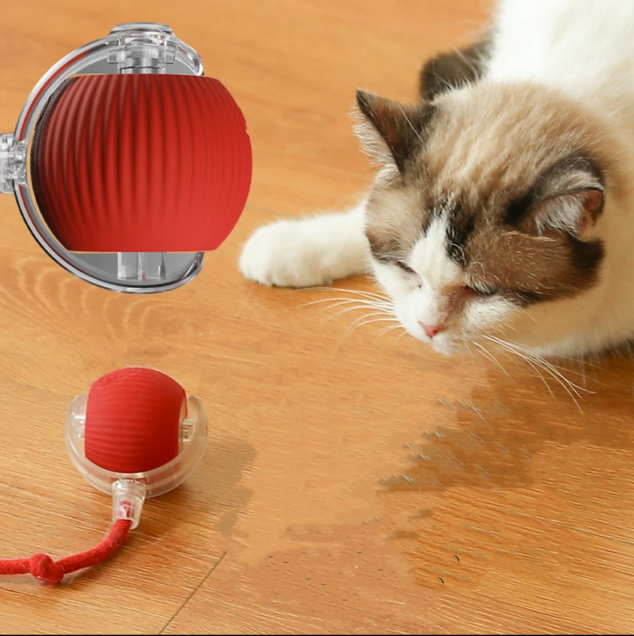 Automatic Rolling Smart Ball for Cats – Interactive Play Orb