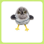 USB Rechargeable Chirping Bird Toy for Cats – Motion Wing Flap