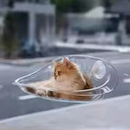 Transparent Cat Window Hammock – Suction Cup Floating Bed for Sunbathing.