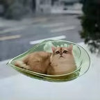 Transparent Cat Window Hammock – Suction Cup Floating Bed for Sunbathing.