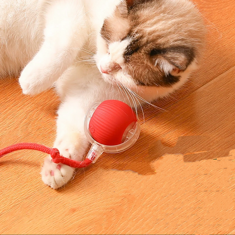 Automatic Rolling Smart Ball for Cats – Interactive Play Orb
